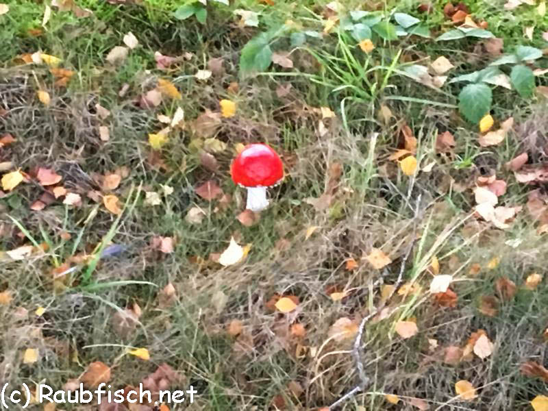 Oktober 2019 - Mit Birgit unterwegs