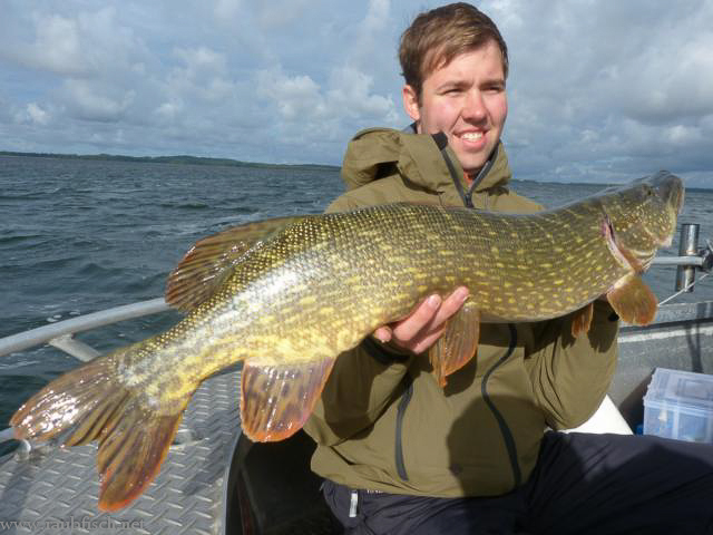 K640 Bodden13 3-2