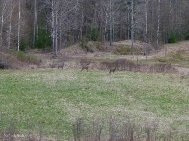 K640 2014 04 15 18