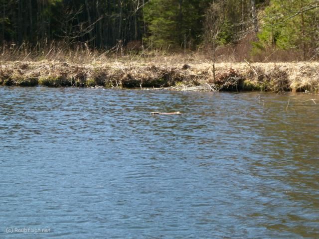 K640 2014 04 15 30